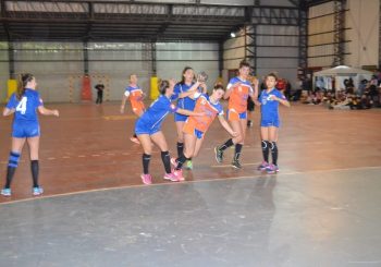 Otra jornada a puro handball en San Nicolás